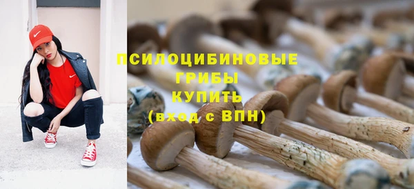 стаф Гусев