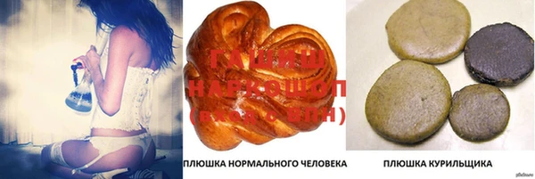 стаф Гусев