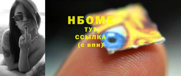 стаф Гусев
