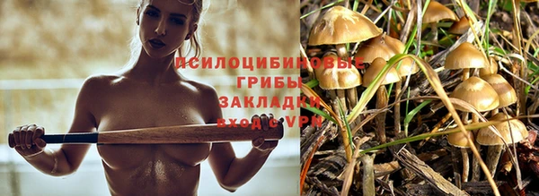 наркотики Гусь-Хрустальный