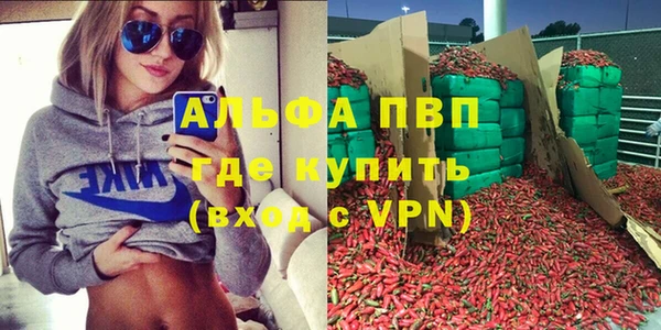 стаф Гусев