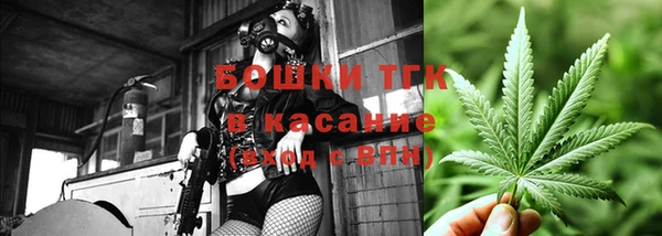 стаф Гусев