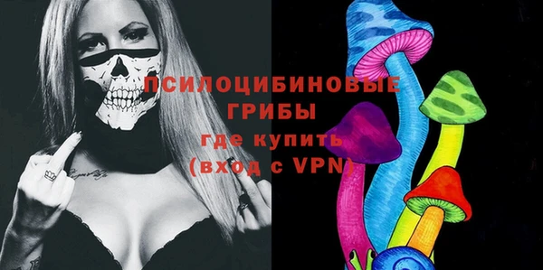 стаф Гусев