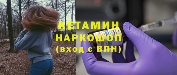 стаф Гусев