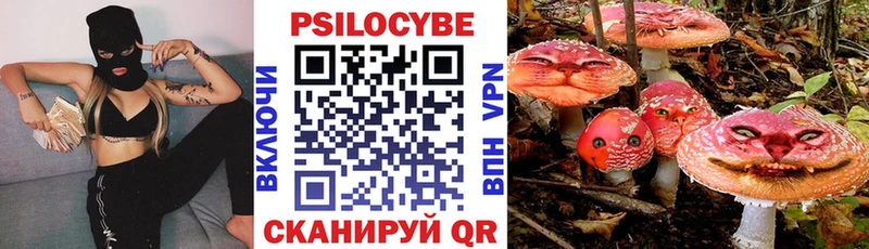 Псилоцибиновые грибы Cubensis  купить наркоту  это телеграм  Невинномысск 